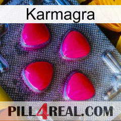 Karmagra 13